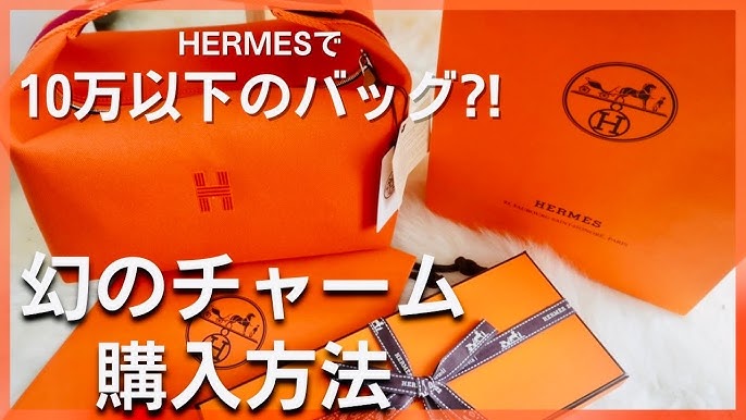 Review + Comparison of the #hermes Bride-A-Brac. Small vs Large +