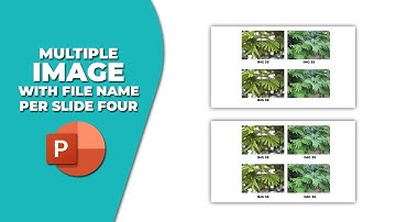How to insert multiple image with file name in PowerPoint Per slide four