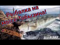 Рыбалка на мысе Тобизина