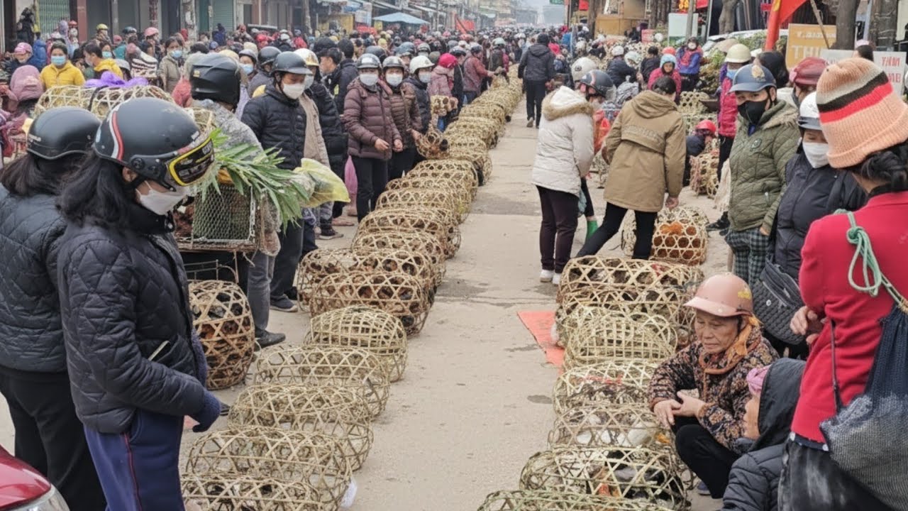 Exploring Vietnam’s TET Market – Real Local Life You’ve Never Seen Before I Local Market VN