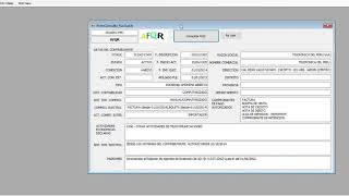 [VS2019-C#]-Consulta RUC + DNI Windows Forms screenshot 5