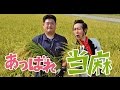 【上杉周大さん】2分30秒CM 当麻町オリジナル動画「育むマチ、とうま」