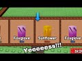 When You Thought That You Were Getting The Sunflower But... (Grow A Garden)