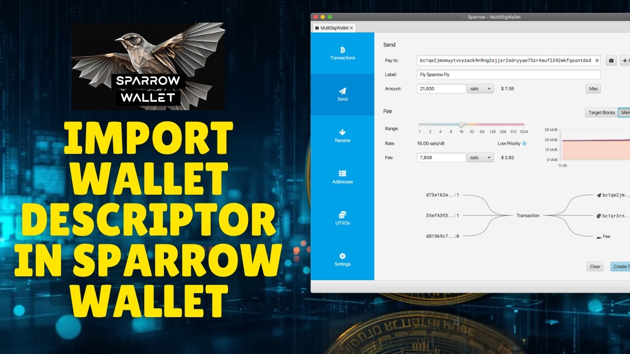 How to Import Wallet Descriptor in Sparrow Wallet 2026? - YouTube