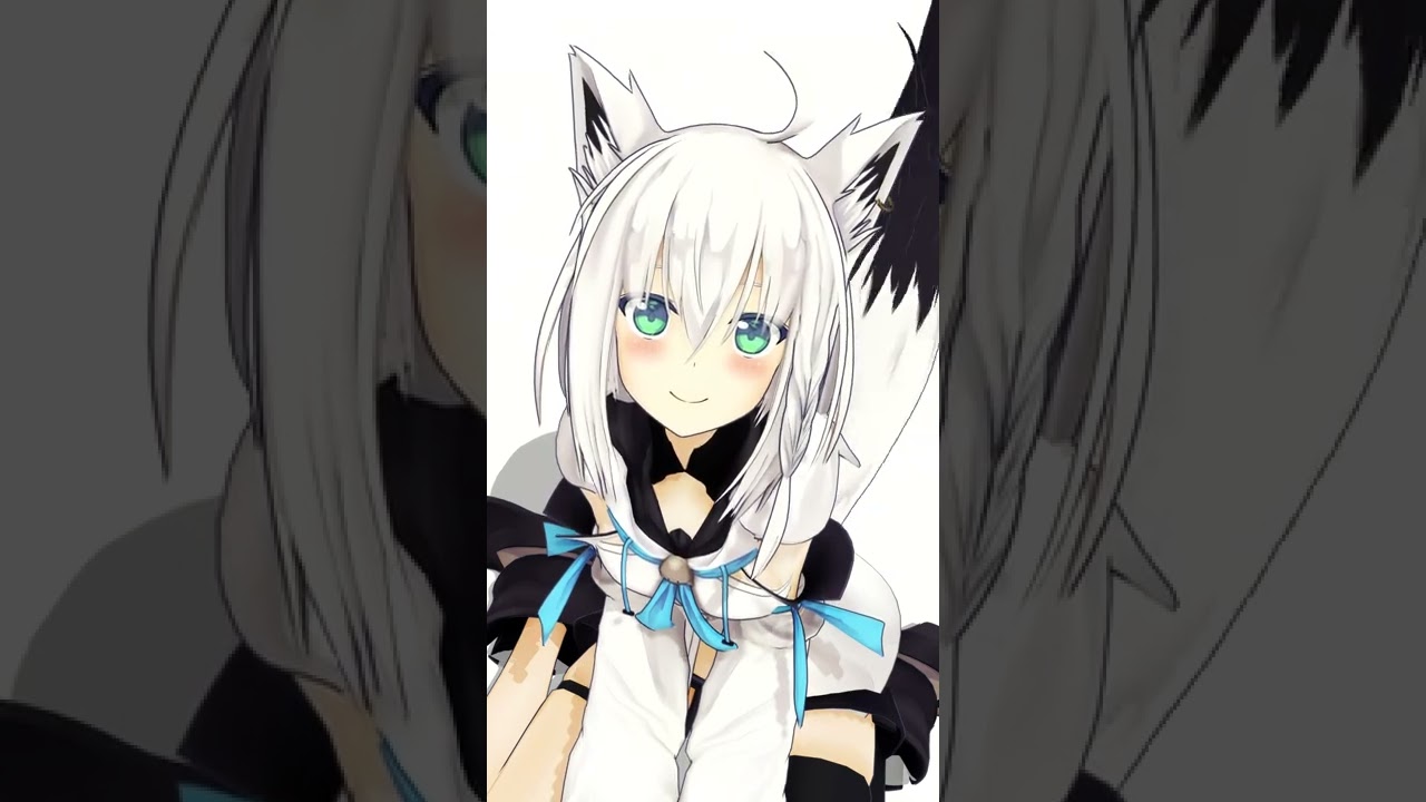 どうして見つめてるんですか？/Why are you staring at me?【ホロライブ/白上フブキ】