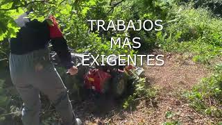 DESBROZADORA PUBERT TOUNDRA 55P