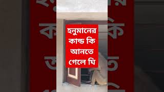 Mamma Monkey N Baby Monkey Triple Queen Channel