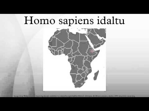 Homo sapiens idaltu