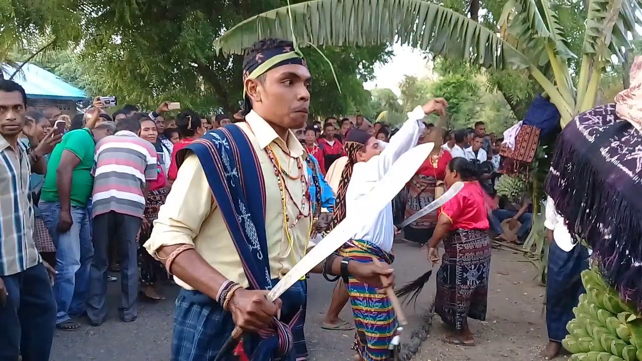 Soka Ro'a Mu'u, tarian adat perkawinan orang Maumere-Flores-NTT #roamuu #gongwaning #musikindonesia