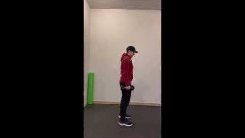 Suitcase Squats to Hammer Curls   SD 480p