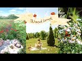 Woodland ambiance and whimsical musiclight academia playlisthappy classical musicchill playlist