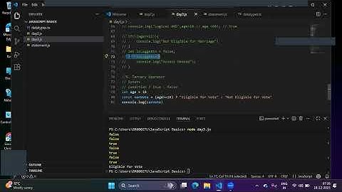 Playwright java script day 5 (statements if, if else, if else if, switch case, nested if)
