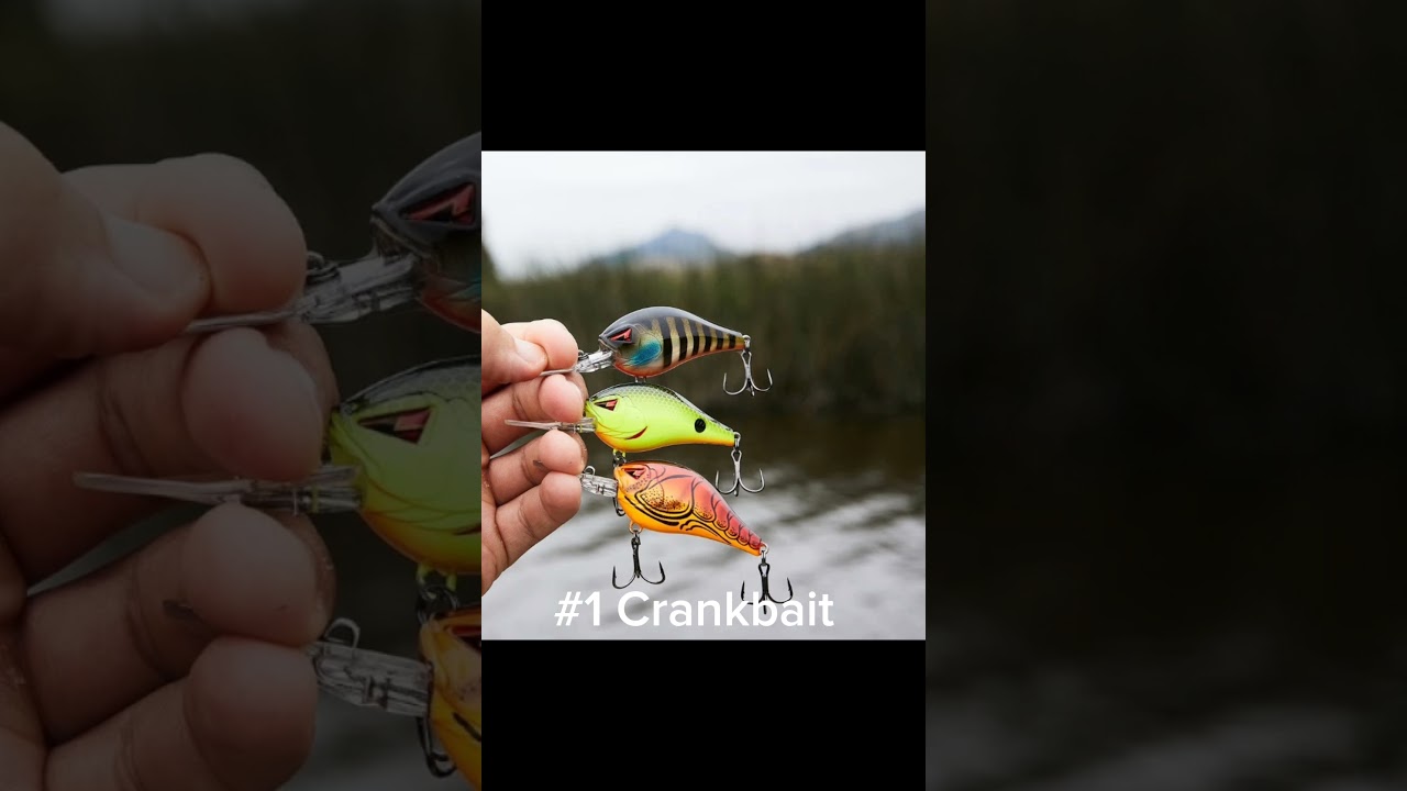 November Bass Fishing: My Top 5 Bass Baits 