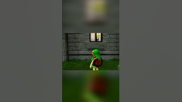 Strange Differences in Ocarina of Time and Ocarina of Time 3D