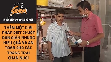 Giải pháp diệt chuột cho các trang trại chăn nuôi: đơn giản, hiệu quả, an toàn