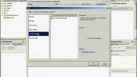 Adding a Page to a Site with SharePoint Designer 2007