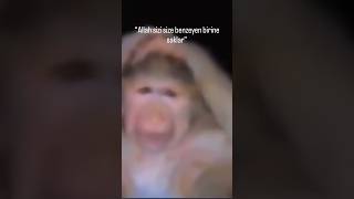 Allah Sizi Size Benzeyen Birine Saklar Dünyası Başına Yıkılan Maymun Elleri Başında Maymun