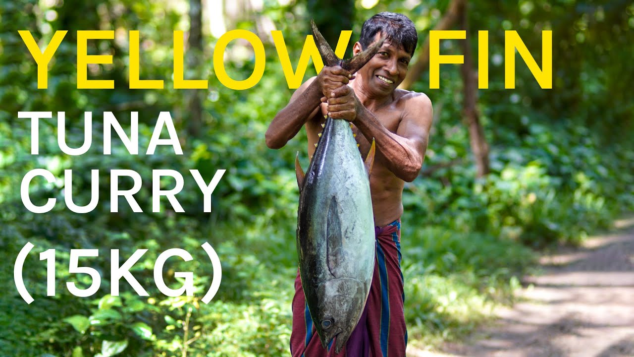 Big Yellow Fin Tuna Fish Tuna Fish Cutting And Cooking In Village big-yellow-fin-tuna-fish-tuna-fish-cutting-and-cooking-in-village