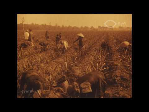 Melacak Arsip-arsip Film Dokumenter Masa Hindia Belanda : Membaca Kembali Zaman Modal (Kapitalis Perkebunan) Vis a vis Zaman Bergerak – Radikalisme Rakyat Jawa (1912-1928)