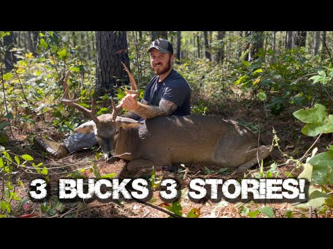 Deep-dive into past success on early season public land bucks!