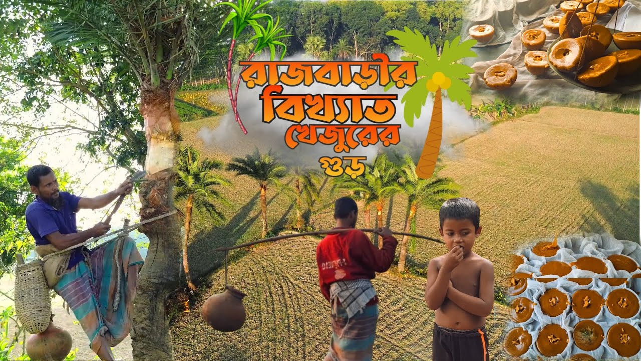 Making process of Rajbari’s famous date palm jaggery // রাজবাড়ীর বিখ্যাত খেজুর গুড় তৈরির প্রক্রিয়া