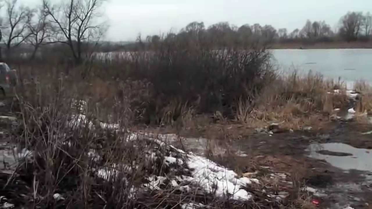 Ск ока пущино