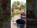 ranking best internet fails #ranking #funny #memes #shorts