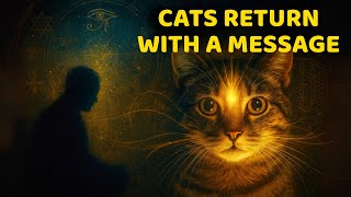 What really happens to cats after they die? Edgar Cayce’s SPIRITUAL warning