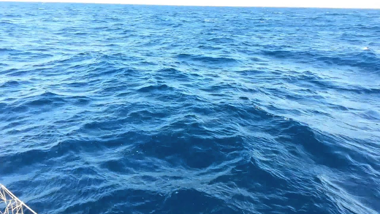 Travessia Vilanova-Menorca Vídeo 3