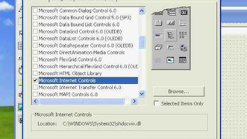 vb 6.0 Web Browser(How to make)