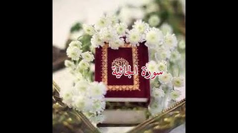 تلاوة مباركة للشيخ: علي الحذيفي حفظه الله، من سورة الجاثية.