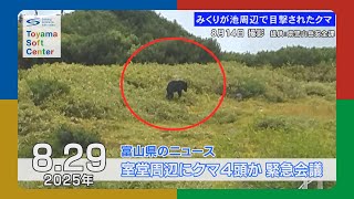 Four bears found near Murodo Prefecture, prefectural police hold