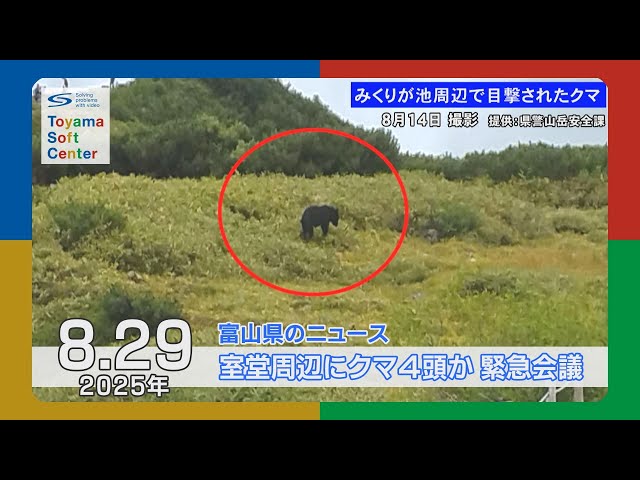 Four bears found near Murodo Prefecture, prefectural police hold