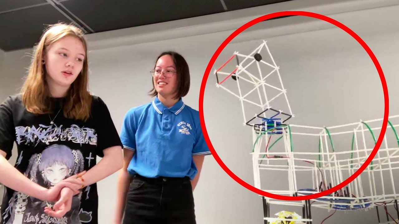 Niondeklassare vann internationellt pris för roboten Lama Lattcho | Efter fem | TV4 & TV4 Play