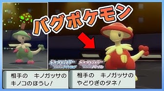 キノガッサ Youtube