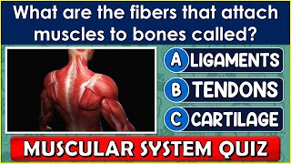 "MUSCULAR SYSTEM QUIZ" | How Much Do You Know About the "MUSCULAR SYSTEM"? | QUIZ/TRIVIA/QUESTIONS screenshot 5