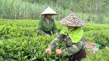 Sơn Dương nỗ lực giảm nghèo bền vững