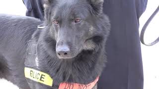 Meet MDOT MTA's Newest K-9 Team
