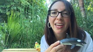 Ocean Animals ASL baby sign language Slippery Fish song