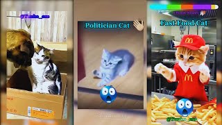 Sigma Cats Edit Compilation 1