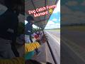 Dog Catch On-duty #shorts #shortsfeed #youtubeshorts #dogcatching #viral
