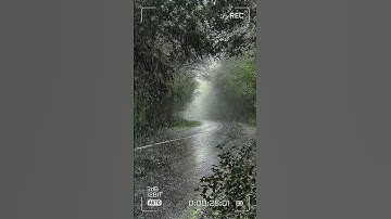 اجمل تلاوة تنسيك الدنيا ...القارئ محمد النقيدان