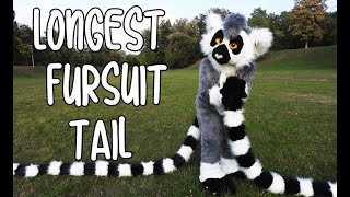Worlds longest fursuit tail