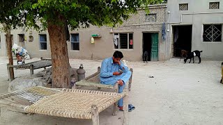 Pakistan Village Life Daily Routine In Rural Punjab
