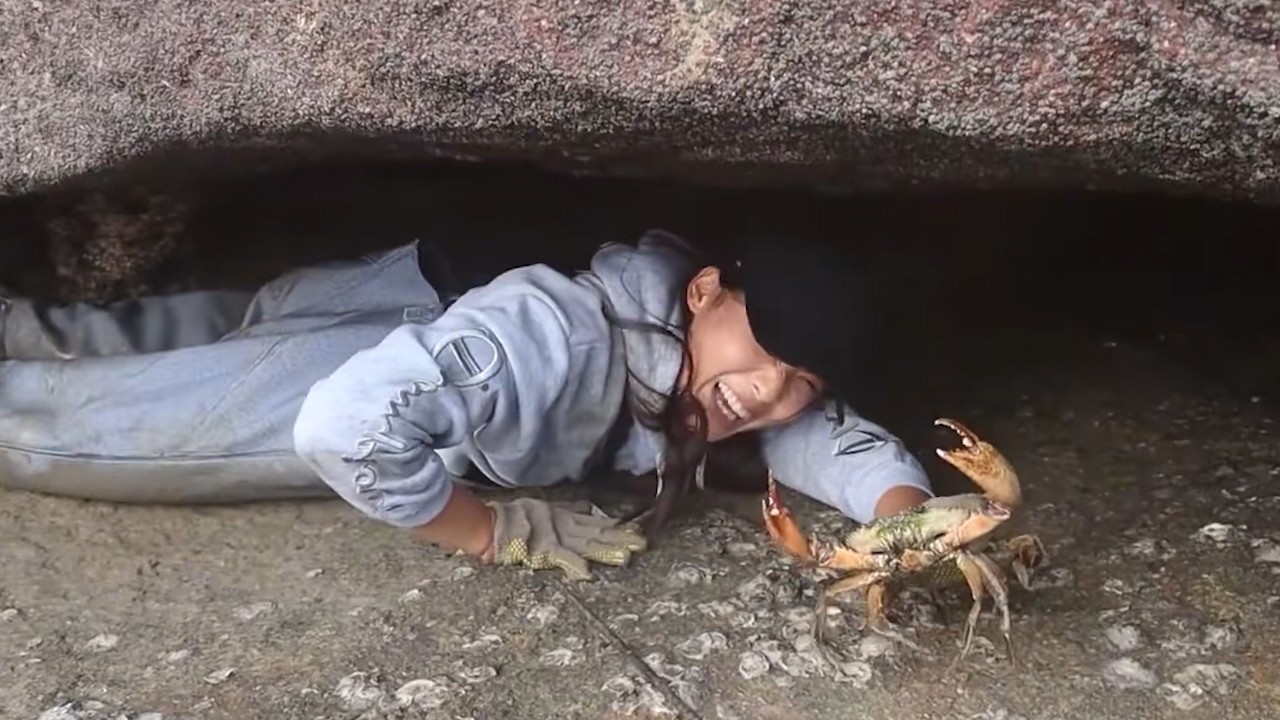 海边的海带很多捡不完，渔妹钻进石缝抓到猛货，费尽力气可真累呀