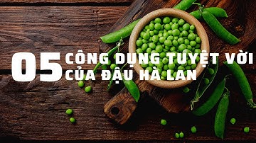 5 CÔNG DỤNG TUYỆT VỜI CỦA ĐẬU HÀ LAN VÀ MỘT SỐ LƯU Ý KHI SỬ DỤNG