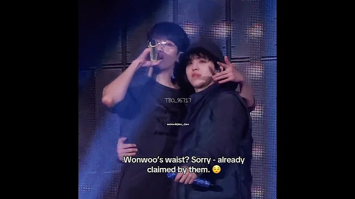 Sorry - Wonwoo’s waist is under protection 🙂 #wonwoo #mingyu #minwon #woncheol #wonsol #seventeen