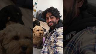 Mental Games For Dogs  Telugu Vlogs  Ikada Ela With Gouthamshorts short dog game short