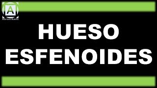 Hueso Esfenoides