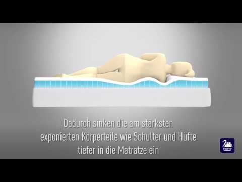 svane-intelligel